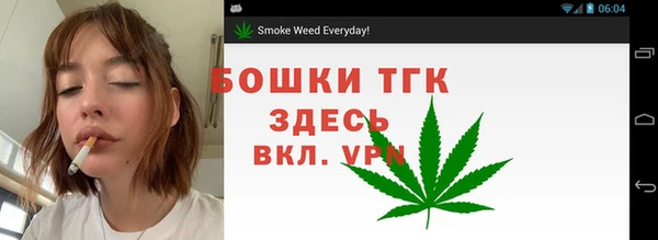 СК Бородино