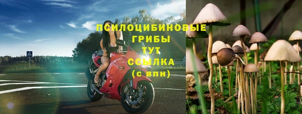 соль курить ск Богородицк