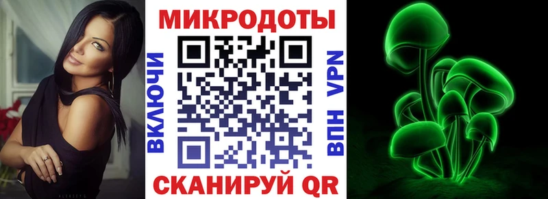 Псилоцибиновые грибы Psilocybine cubensis  Мурино 