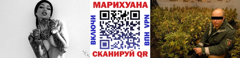 Каннабис конопля  Мурино 